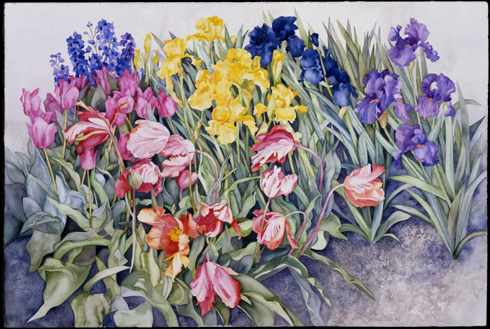 Spring Spectrum giclee by Joan Metcalf