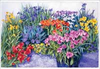 Spring Tonic giclee